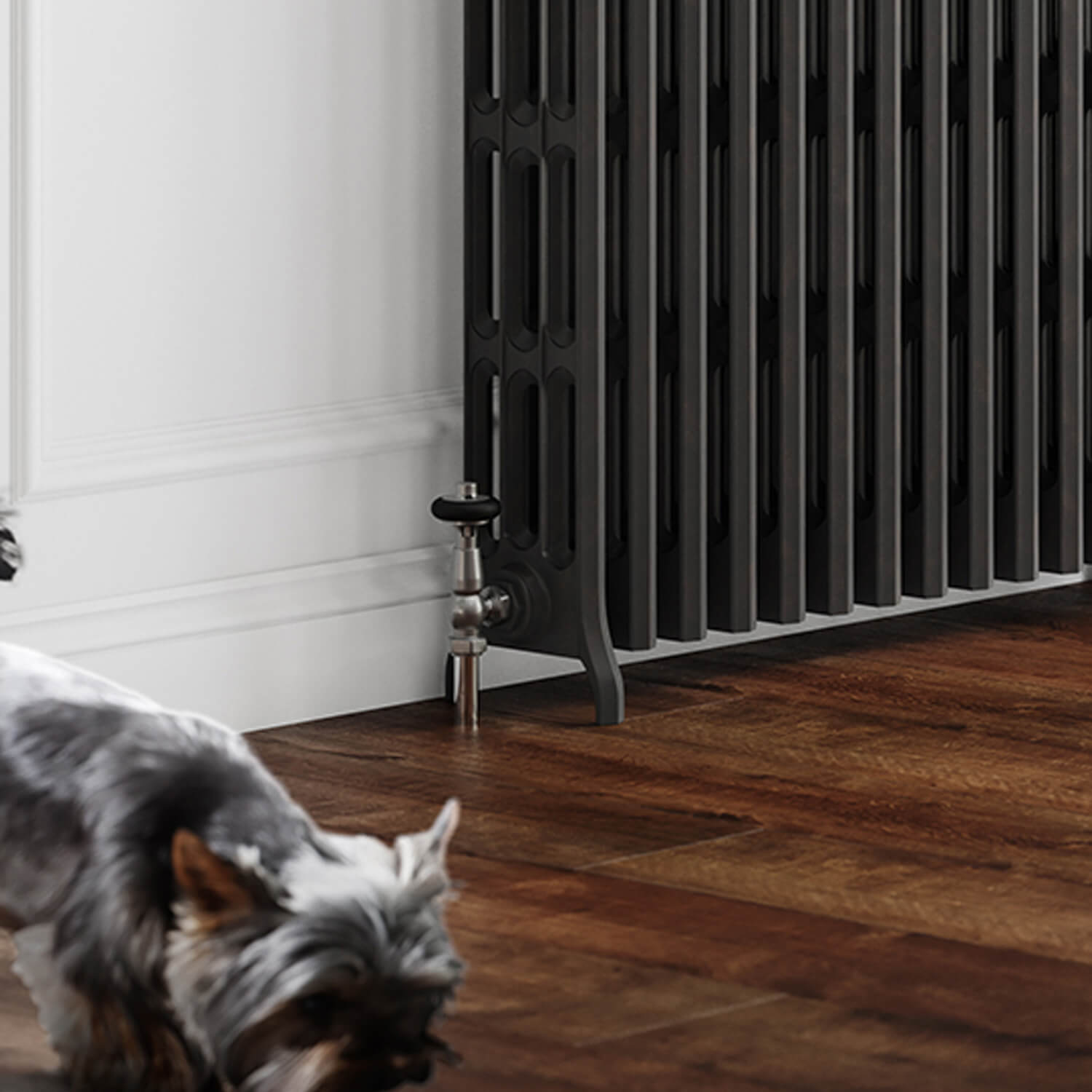 How to Customise Your Radiator Setup for Maximum Comfort with a Gas Boiler